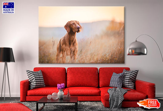 Hungarian Hound Pointer Vizsla Dog Wall Art Decor 100% Australian Made