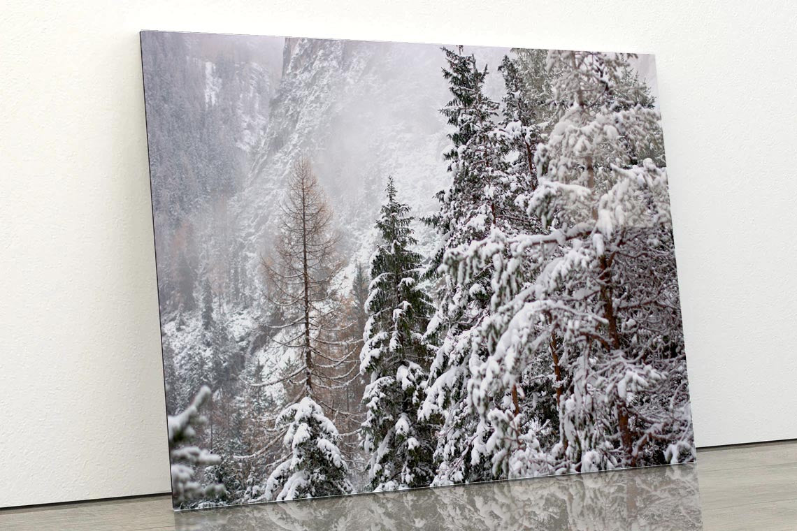 The First Big Snowfall of the winter Acrylic Glass Print Tempered Glass Wall Art 100% Made in Australia Ready to Hang