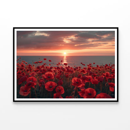 Stunning Sunset over a Sea Of Red Poppies Home Decor Premium Quality Poster Print Choose Your Sizes