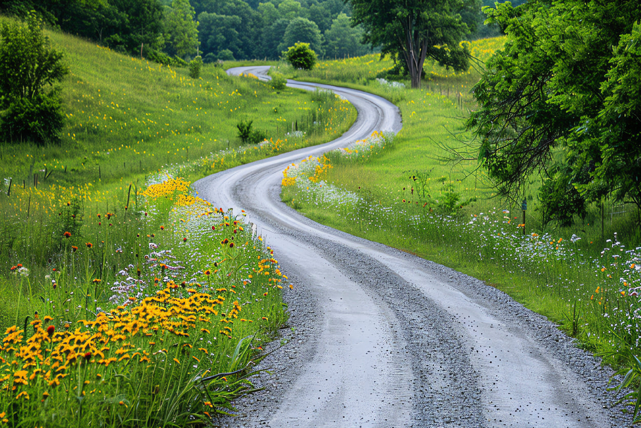 Road with Flowers & Trees Home Decor Premium Quality Poster Print Choose Your Sizes