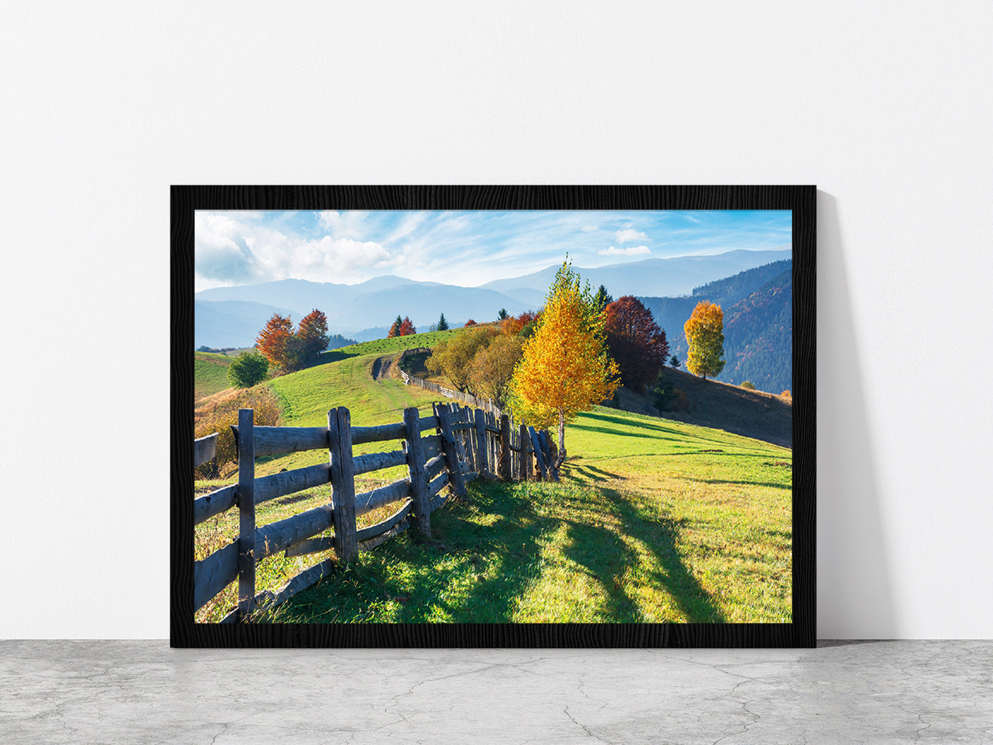 Trees On Grassy Field On Hillside Glass Framed Wall Art, Ready to Hang Quality Print Without White Border Black