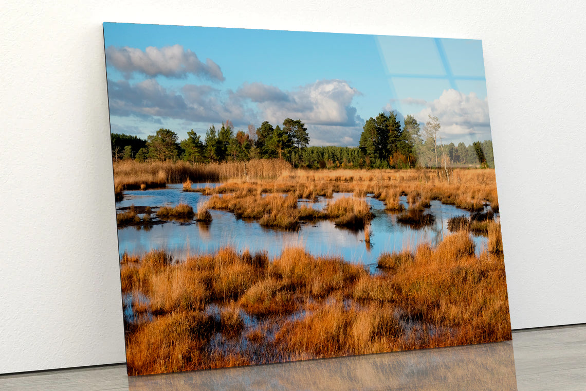 The Wetlands in the Evening Winter Sun Acrylic Glass Print Tempered Glass Wall Art 100% Made in Australia Ready to Hang