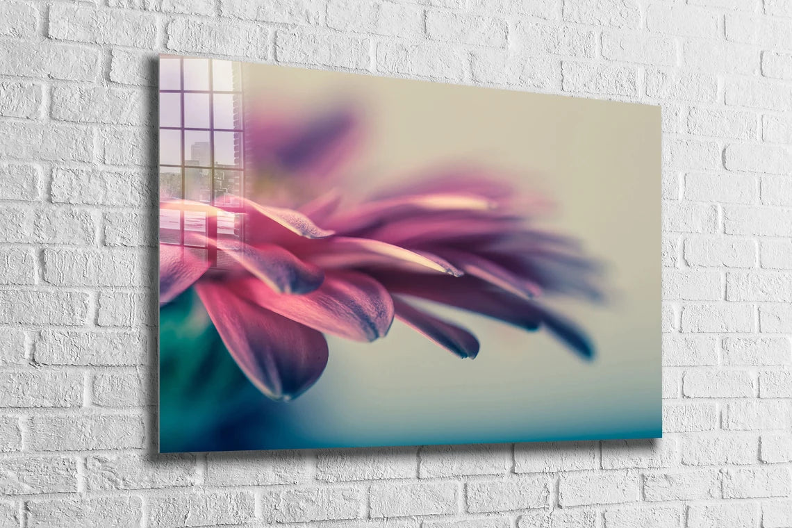 Pink Petals Closeup UV Direct Aluminum Print Australian Made Quality