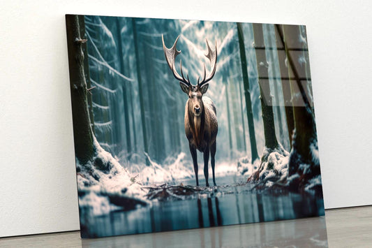 Moose In the Snow Forest  Acrylic Glass Print Tempered Glass Wall Art 100% Made in Australia Ready to Hang