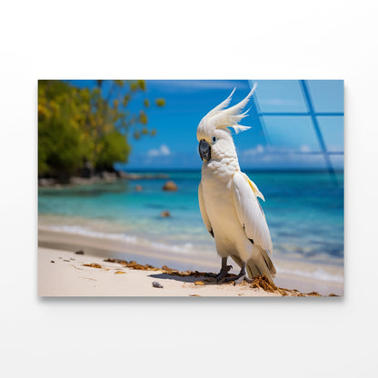 White Cockatoo Bird in Seashore Acrylic Glass Print Tempered Glass Wall Art 100% Made in Australia Ready to Hang