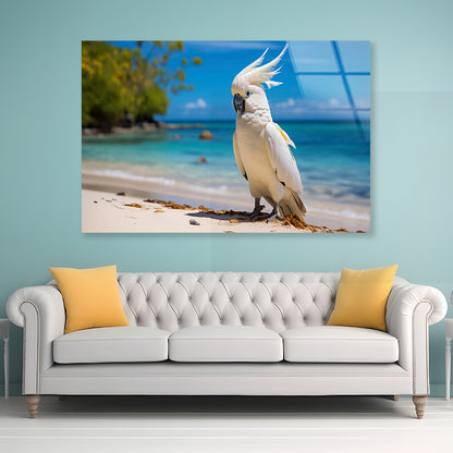 White Cockatoo Bird in Seashore Acrylic Glass Print Tempered Glass Wall Art 100% Made in Australia Ready to Hang