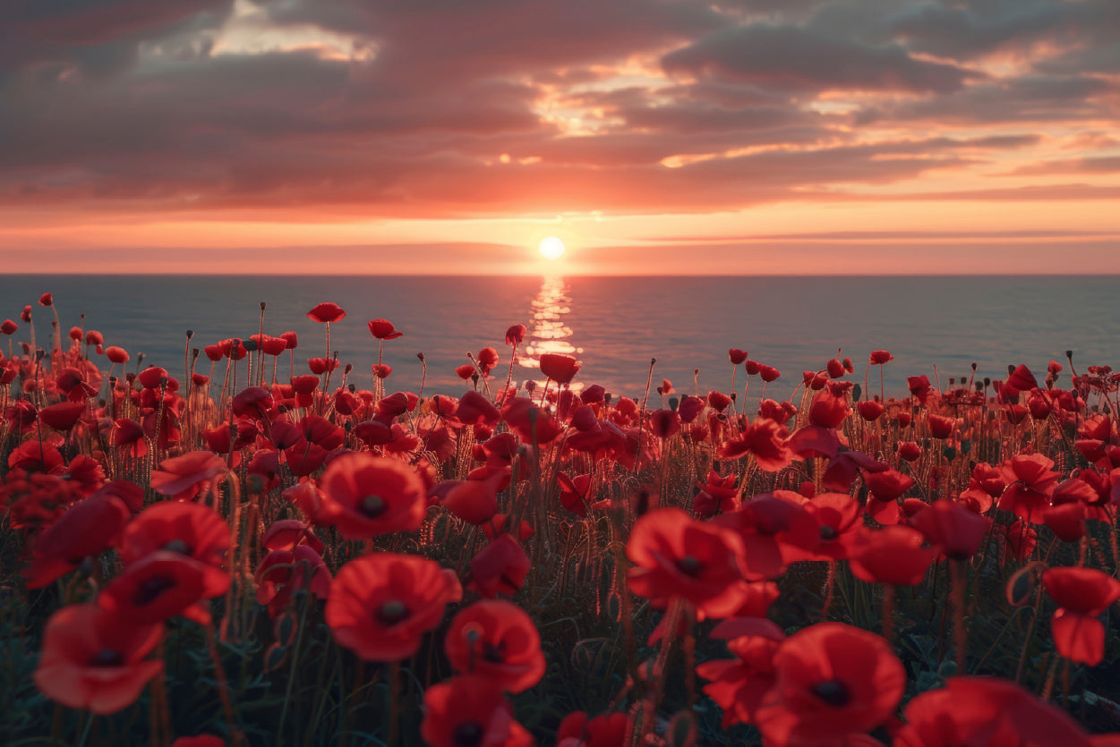 Stunning Sunset over a Sea Of Red Poppies Home Decor Premium Quality Poster Print Choose Your Sizes