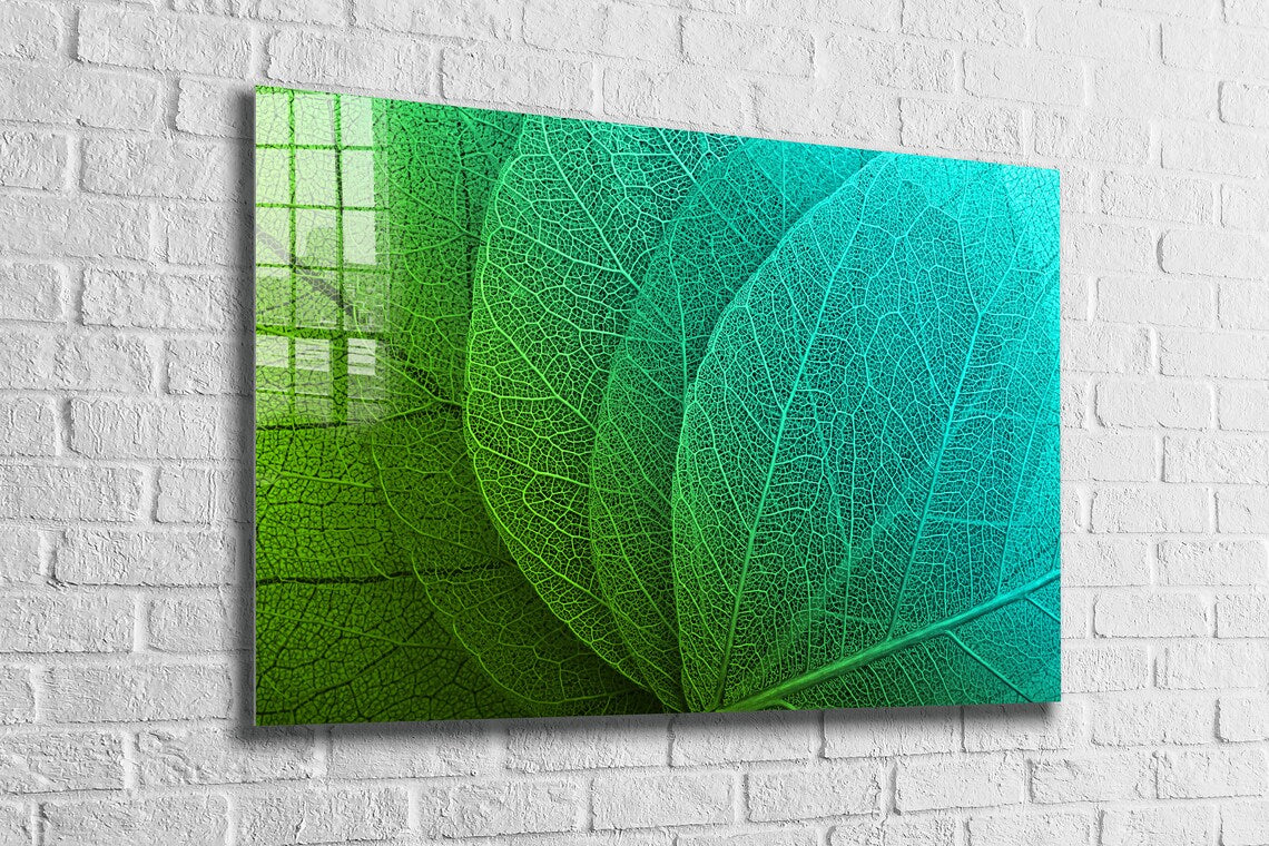 Green Xray Leaves View UV Direct Aluminum Print Australian Made Quality