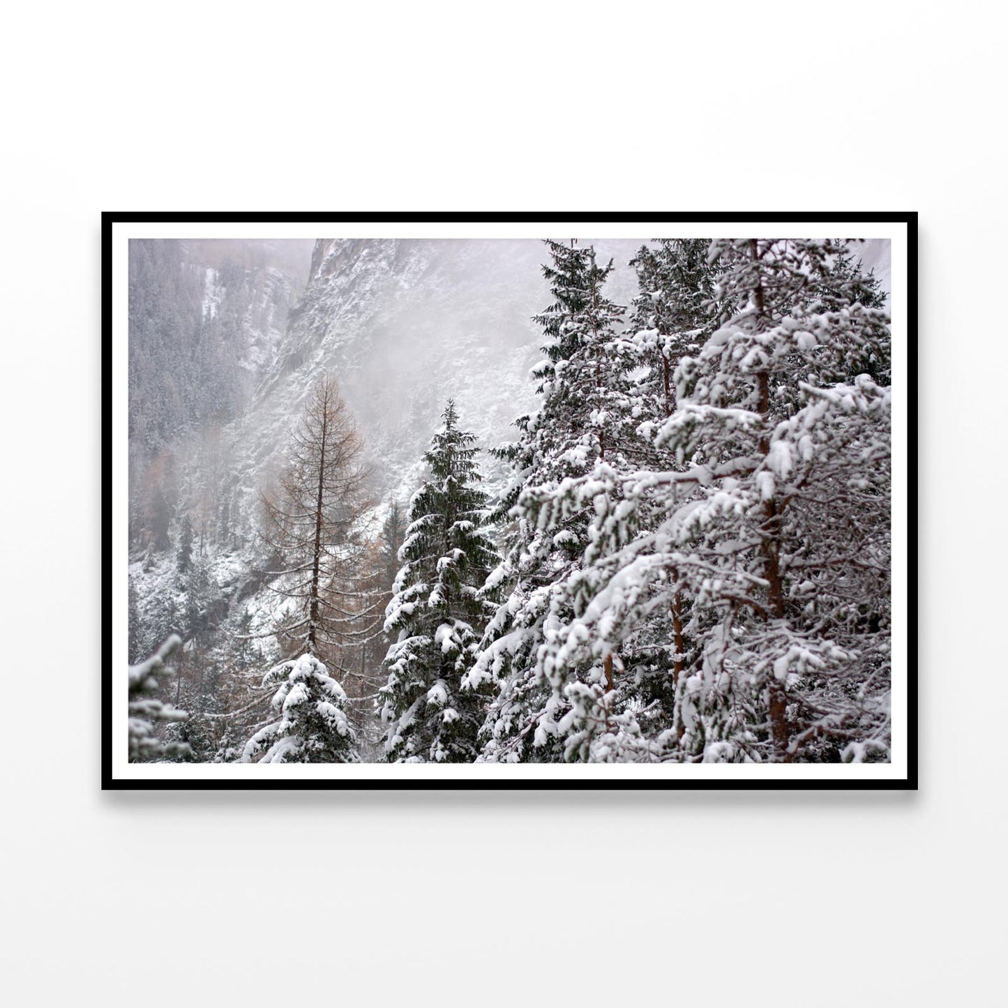 The First Big Snowfall of the winter Home Decor Premium Quality Poster Print Choose Your Sizes