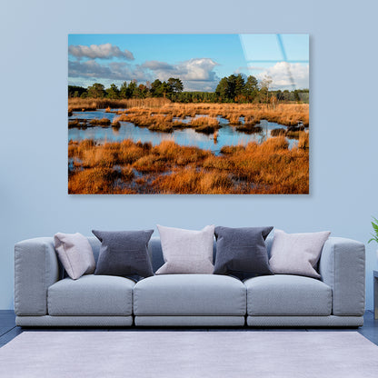 The Wetlands in the Evening Winter Sun Acrylic Glass Print Tempered Glass Wall Art 100% Made in Australia Ready to Hang