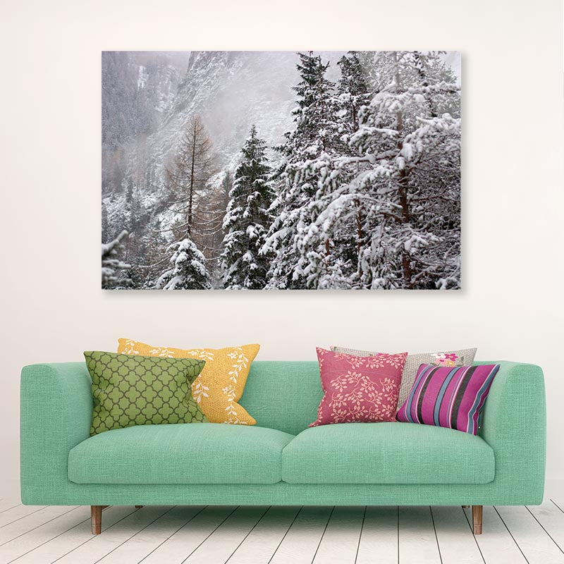 The First Big Snowfall of the winter Acrylic Glass Print Tempered Glass Wall Art 100% Made in Australia Ready to Hang