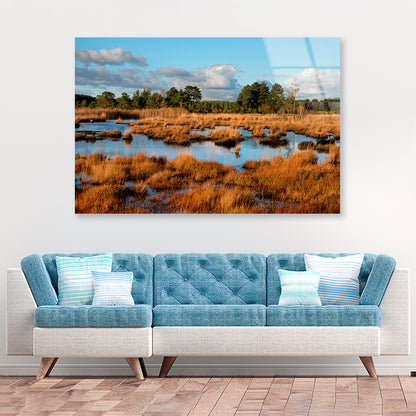 The Wetlands in the Evening Winter Sun Acrylic Glass Print Tempered Glass Wall Art 100% Made in Australia Ready to Hang