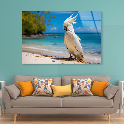 White Cockatoo Bird in Seashore Acrylic Glass Print Tempered Glass Wall Art 100% Made in Australia Ready to Hang