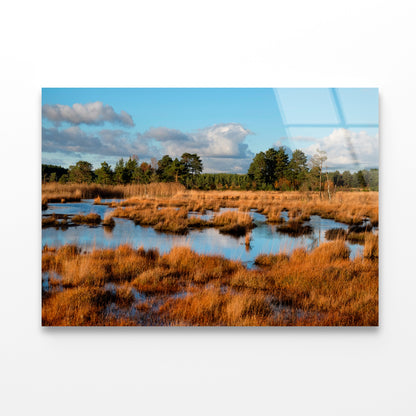 The Wetlands in the Evening Winter Sun Acrylic Glass Print Tempered Glass Wall Art 100% Made in Australia Ready to Hang