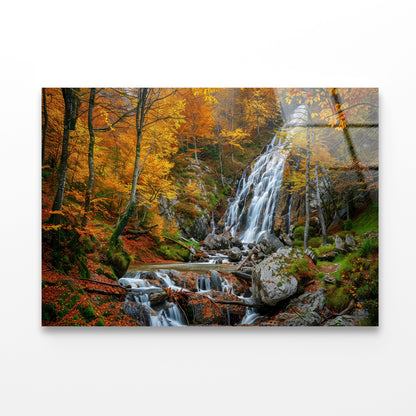 Waterfall in a Forest with Trees Acrylic Glass Print Tempered Glass Wall Art 100% Made in Australia Ready to Hang