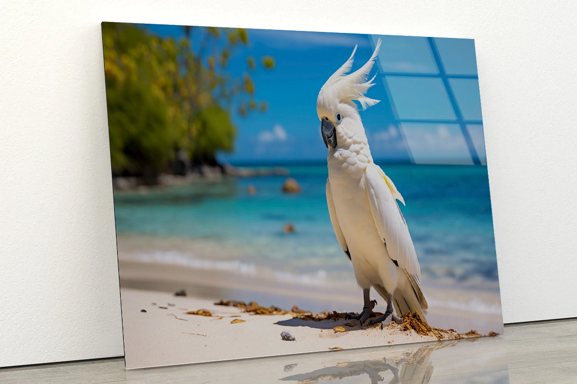 White Cockatoo Bird in Seashore Acrylic Glass Print Tempered Glass Wall Art 100% Made in Australia Ready to Hang