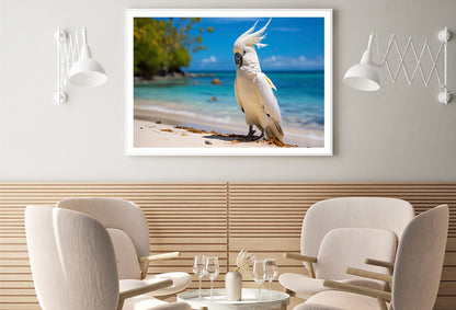 White Cockatoo Bird in Seashore Home Decor Premium Quality Poster Print Choose Your Sizes