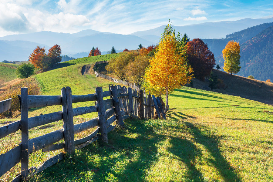 Trees On Grassy Field On Hillside Glass Framed Wall Art, Ready to Hang Quality Print