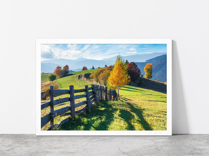 Trees On Grassy Field On Hillside Glass Framed Wall Art, Ready to Hang Quality Print Without White Border White