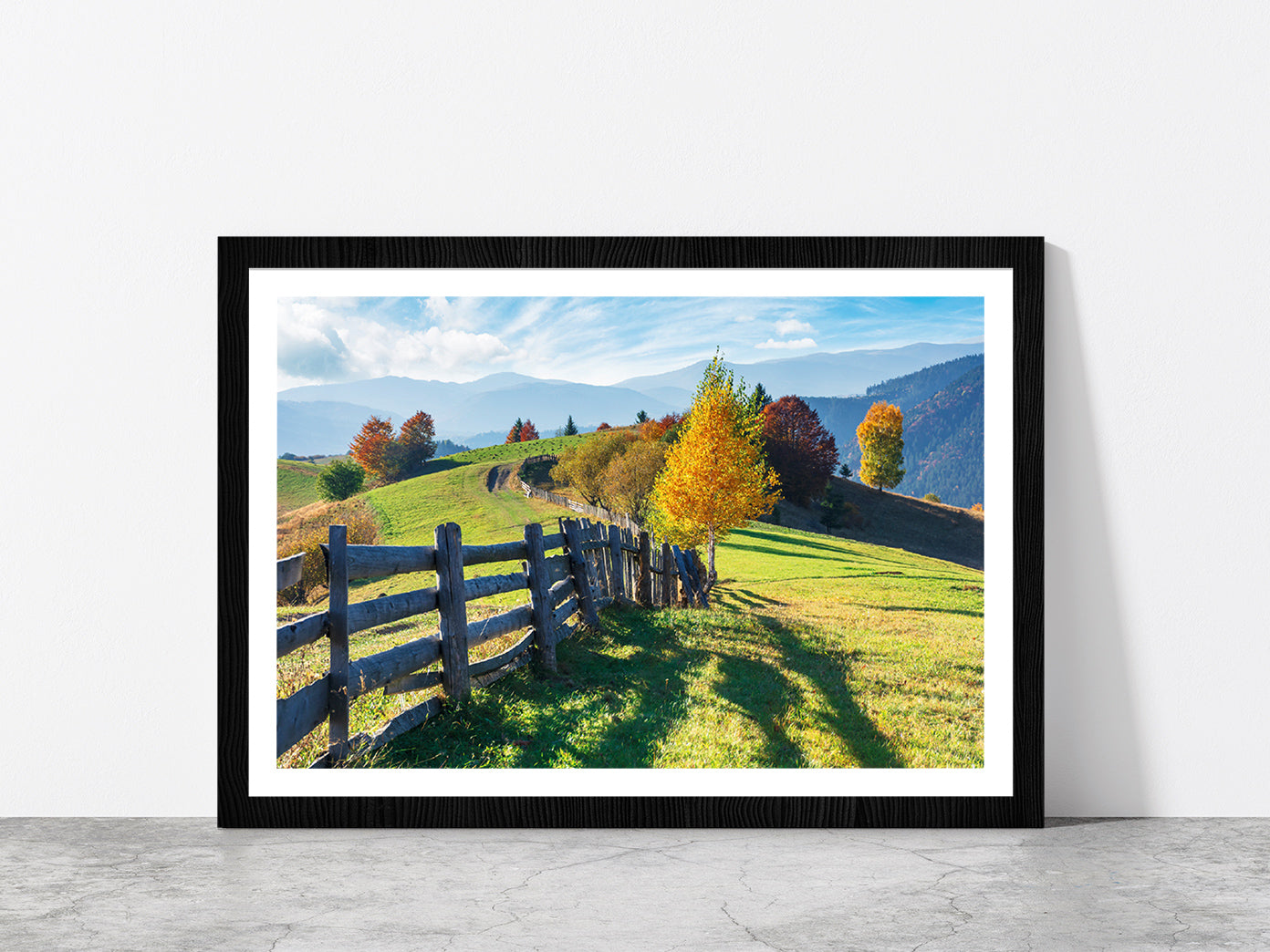 Trees On Grassy Field On Hillside Glass Framed Wall Art, Ready to Hang Quality Print With White Border Black