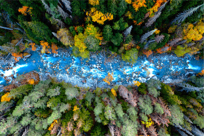 Drone Aerial View Of Forest River Glass Framed Wall Art, Ready to Hang Quality Print