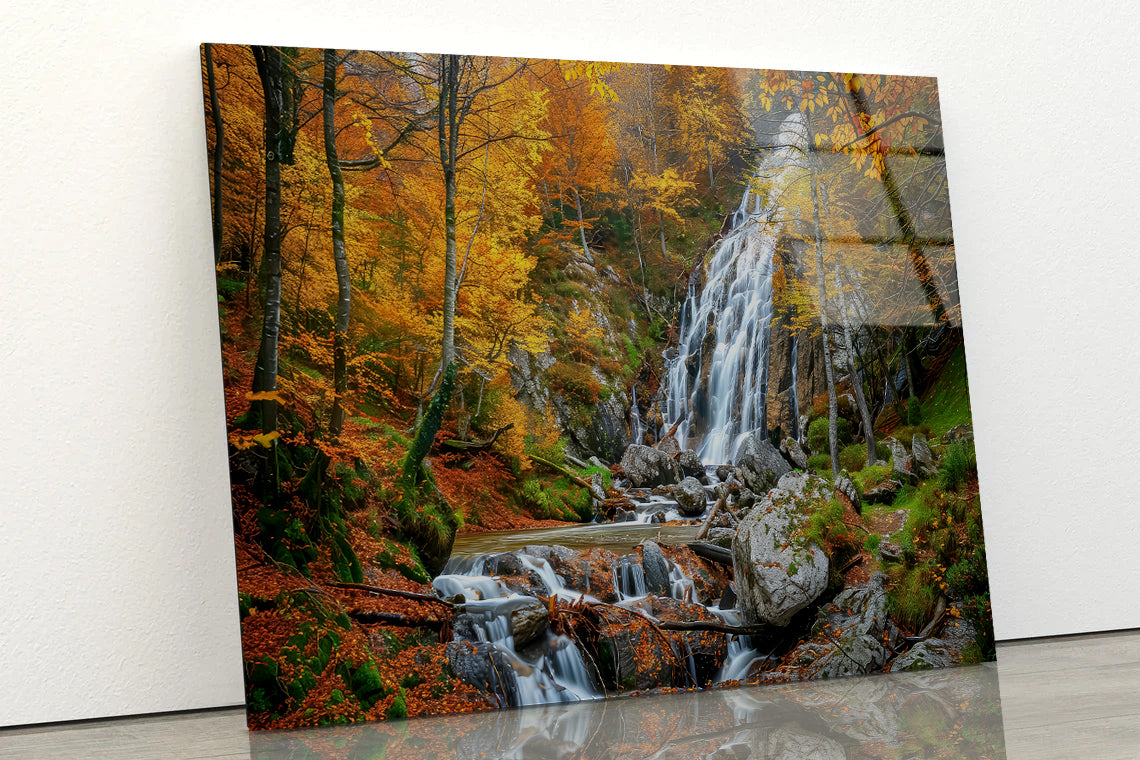 Waterfall in a Forest with Trees Acrylic Glass Print Tempered Glass Wall Art 100% Made in Australia Ready to Hang