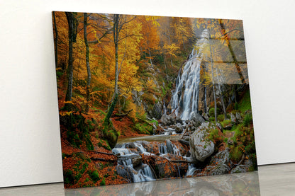 Waterfall in a Forest with Trees Acrylic Glass Print Tempered Glass Wall Art 100% Made in Australia Ready to Hang