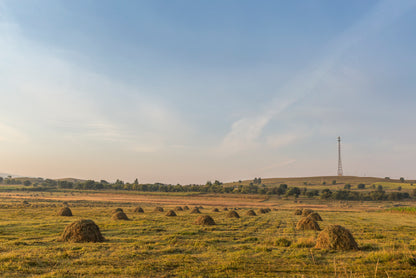 Autumn Grassland Beautiful Scenery in China Home Decor Premium Quality Poster Print Choose Your Sizes