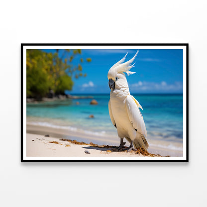 White Cockatoo Bird in Seashore Home Decor Premium Quality Poster Print Choose Your Sizes