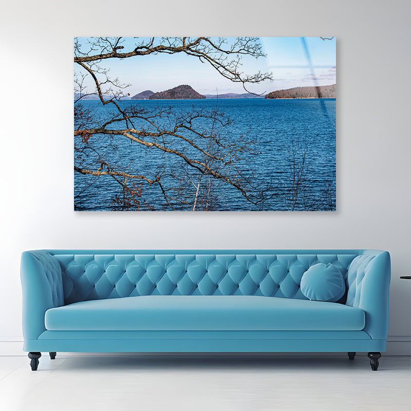 View of a Tree with a Lake & Mountains Acrylic Glass Print Tempered Glass Wall Art 100% Made in Australia Ready to Hang