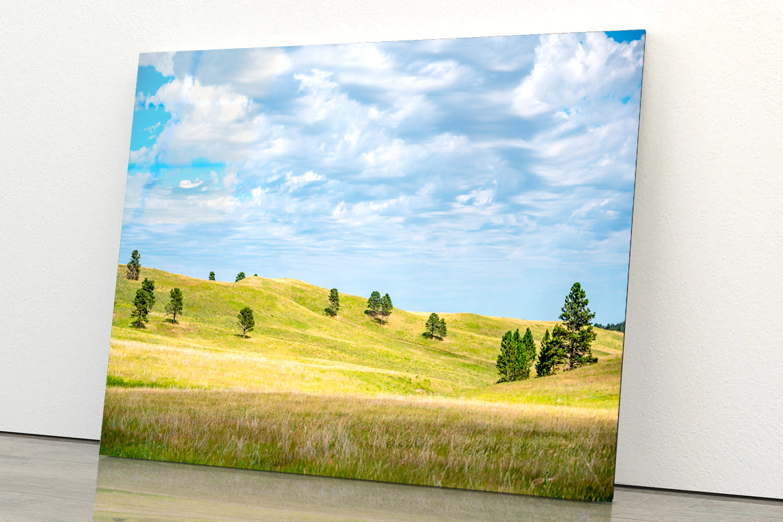 View of Open Grassland in South Dakota, USA Acrylic Glass Print Tempered Glass Wall Art 100% Made in Australia Ready to Hang