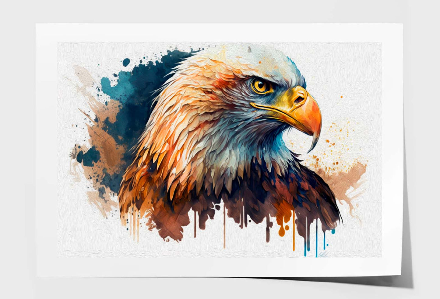 The American Bald Eagle, Head Wall Art Limited Edition High Quality Print