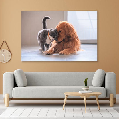 British Short Hair Cat and Golden Retriever Acrylic Glass Print Tempered Glass Wall Art 100% Made in Australia Ready to Hang