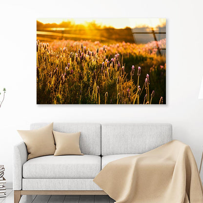 Field of Flowers Acrylic Glass Print Tempered Glass Wall Art 100% Made in Australia Ready to Hang