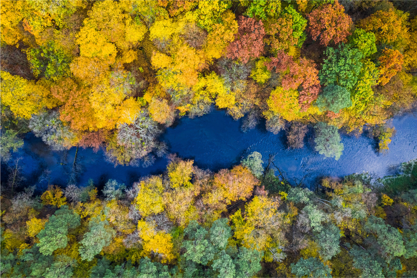 Autumn Forest & River Top View Print 100% Australian Made