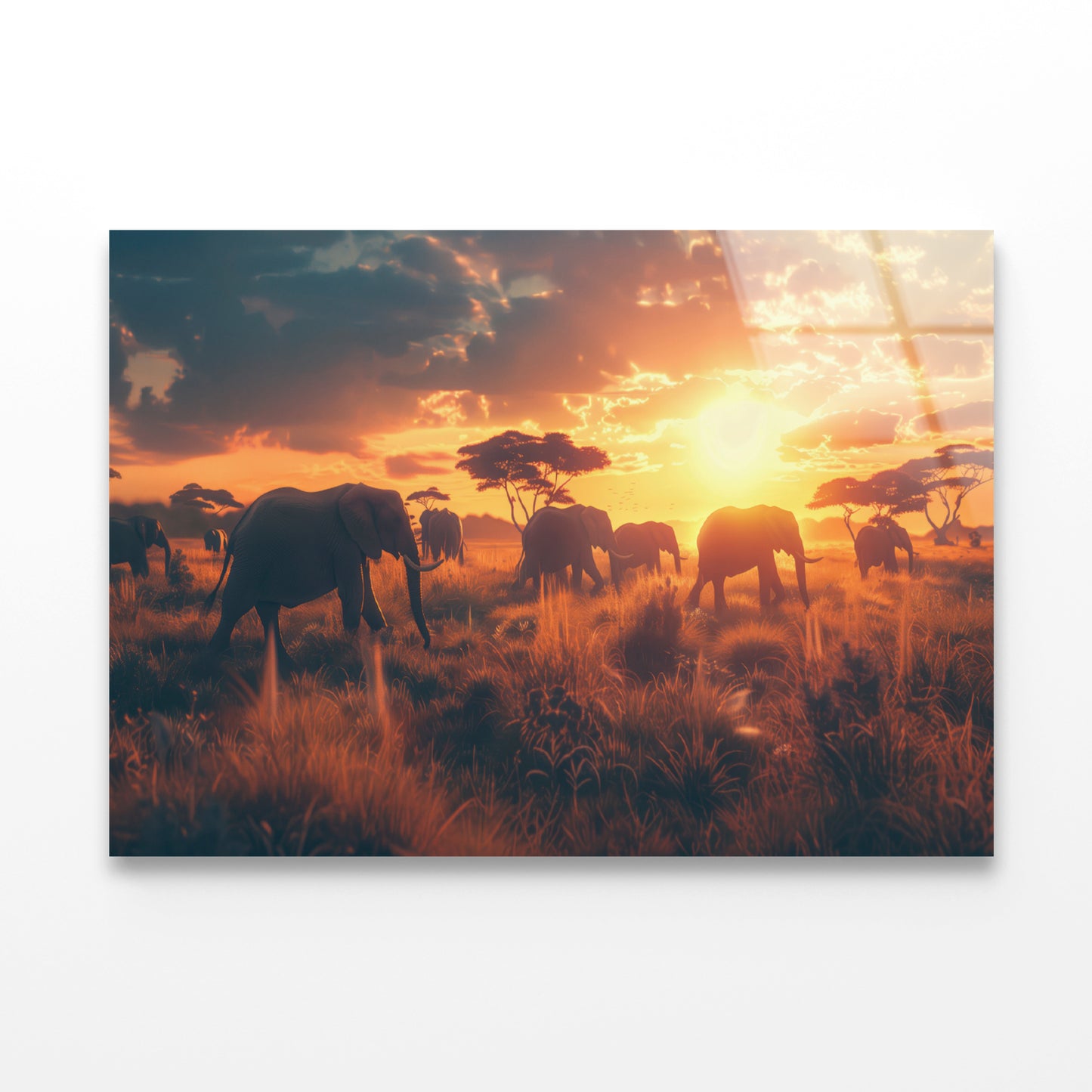 Herd of Elephants Walking Acrylic Glass Print Tempered Glass Wall Art 100% Made in Australia Ready to Hang