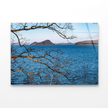 View of a Tree with a Lake & Mountains Acrylic Glass Print Tempered Glass Wall Art 100% Made in Australia Ready to Hang