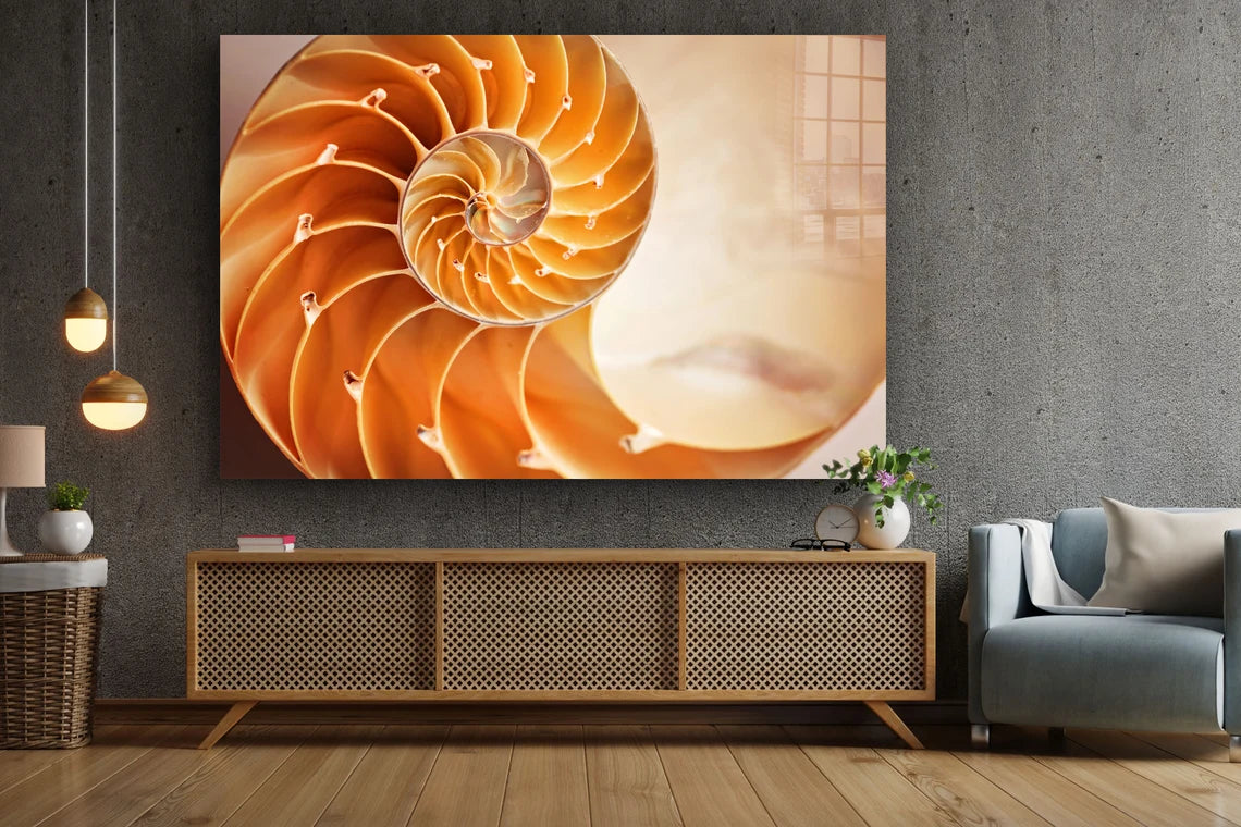 Golden Ratio Sea Shell UV Direct Aluminum Print Australian Made Quality