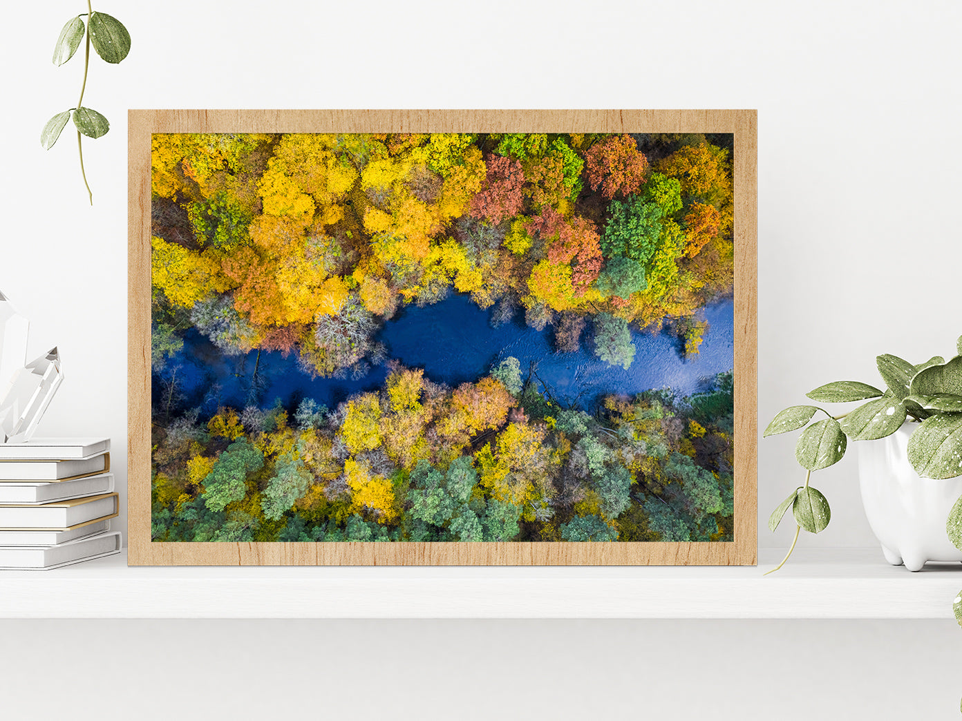 Autumn Forest & River Top View Glass Framed Wall Art, Ready to Hang Quality Print Without White Border Oak