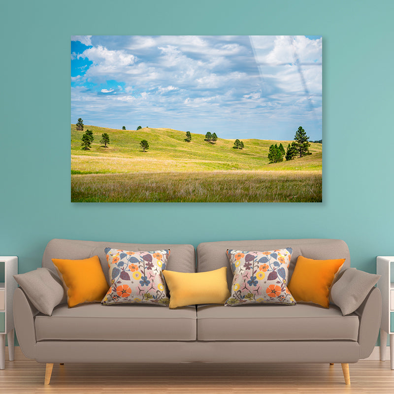 View of Open Grassland in South Dakota, USA Acrylic Glass Print Tempered Glass Wall Art 100% Made in Australia Ready to Hang