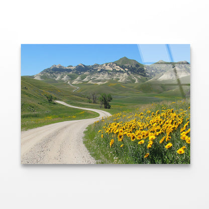 Field Of Yellow Flowers, Mountains & Road Acrylic Glass Print Tempered Glass Wall Art 100% Made in Australia Ready to Hang