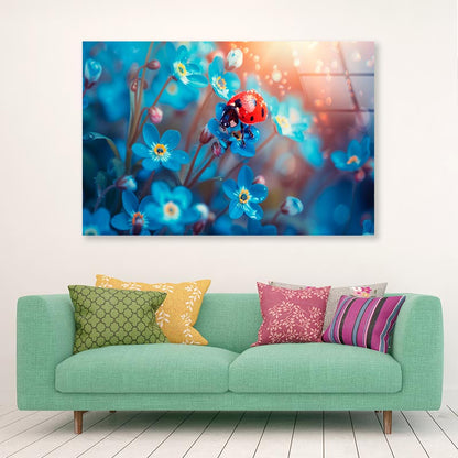 Ladybug Perched on A Vibrant Flower  Acrylic Glass Print Tempered Glass Wall Art 100% Made in Australia Ready to Hang