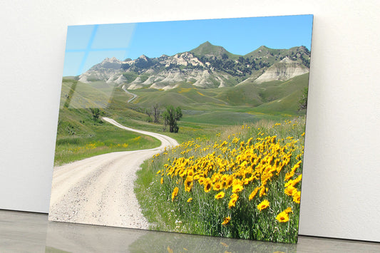 Field Of Yellow Flowers, Mountains & Road Acrylic Glass Print Tempered Glass Wall Art 100% Made in Australia Ready to Hang