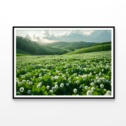 Field Of Dandelions View Home Decor Premium Quality Poster Print Choose Your Sizes