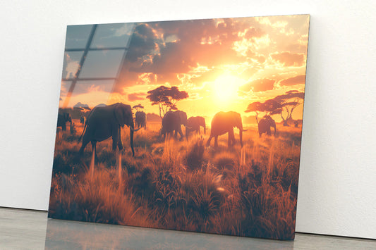 Herd of Elephants Walking Acrylic Glass Print Tempered Glass Wall Art 100% Made in Australia Ready to Hang