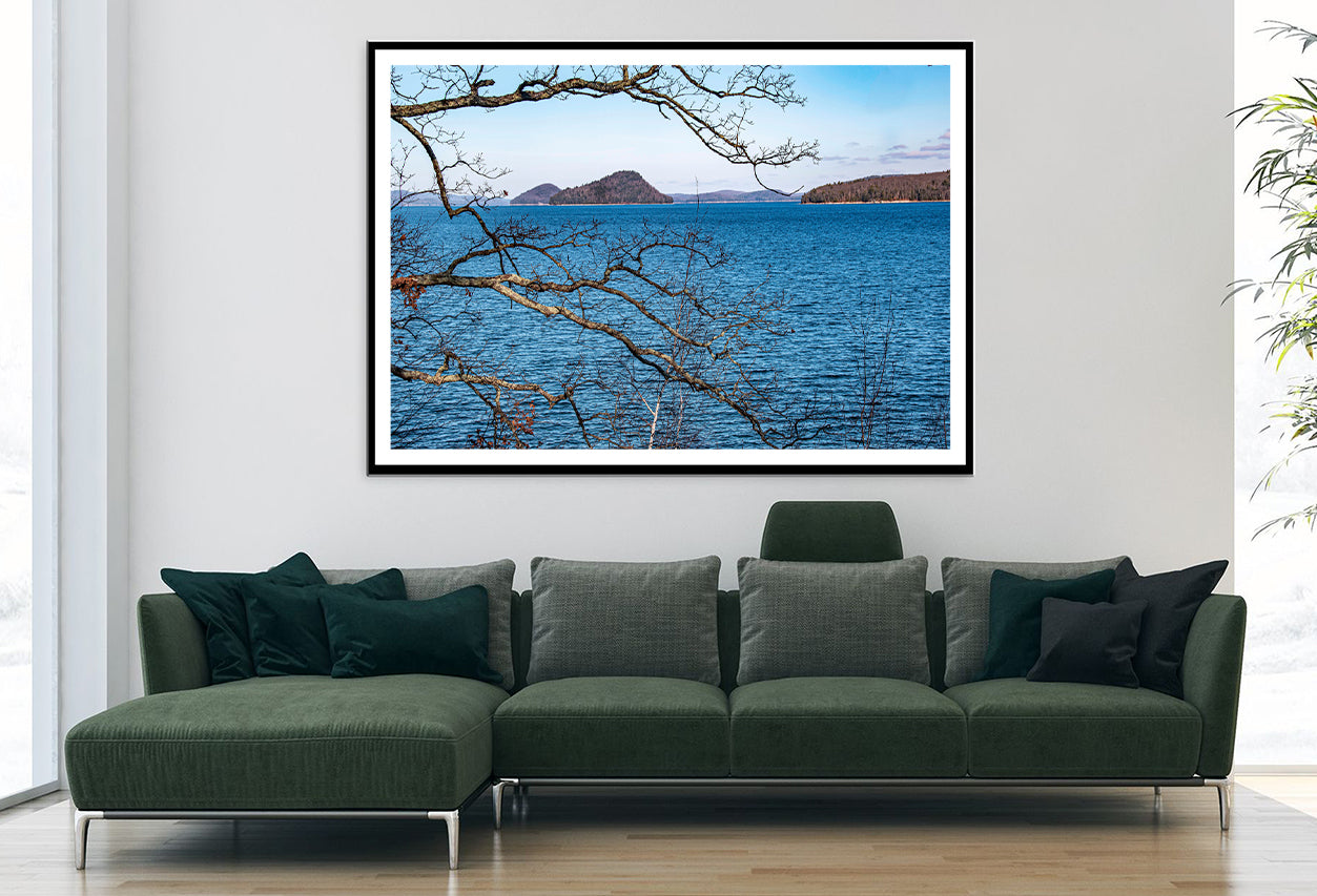 View of a Tree with a Lake & Mountains Home Decor Premium Quality Poster Print Choose Your Sizes