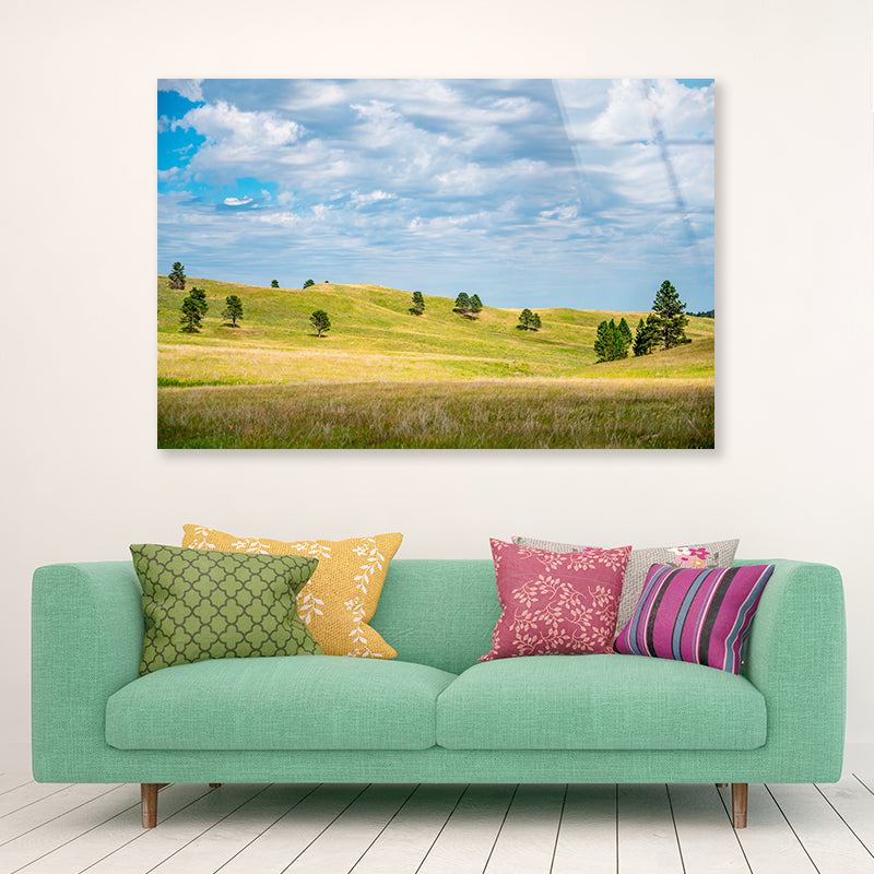 View of Open Grassland in South Dakota, USA Acrylic Glass Print Tempered Glass Wall Art 100% Made in Australia Ready to Hang