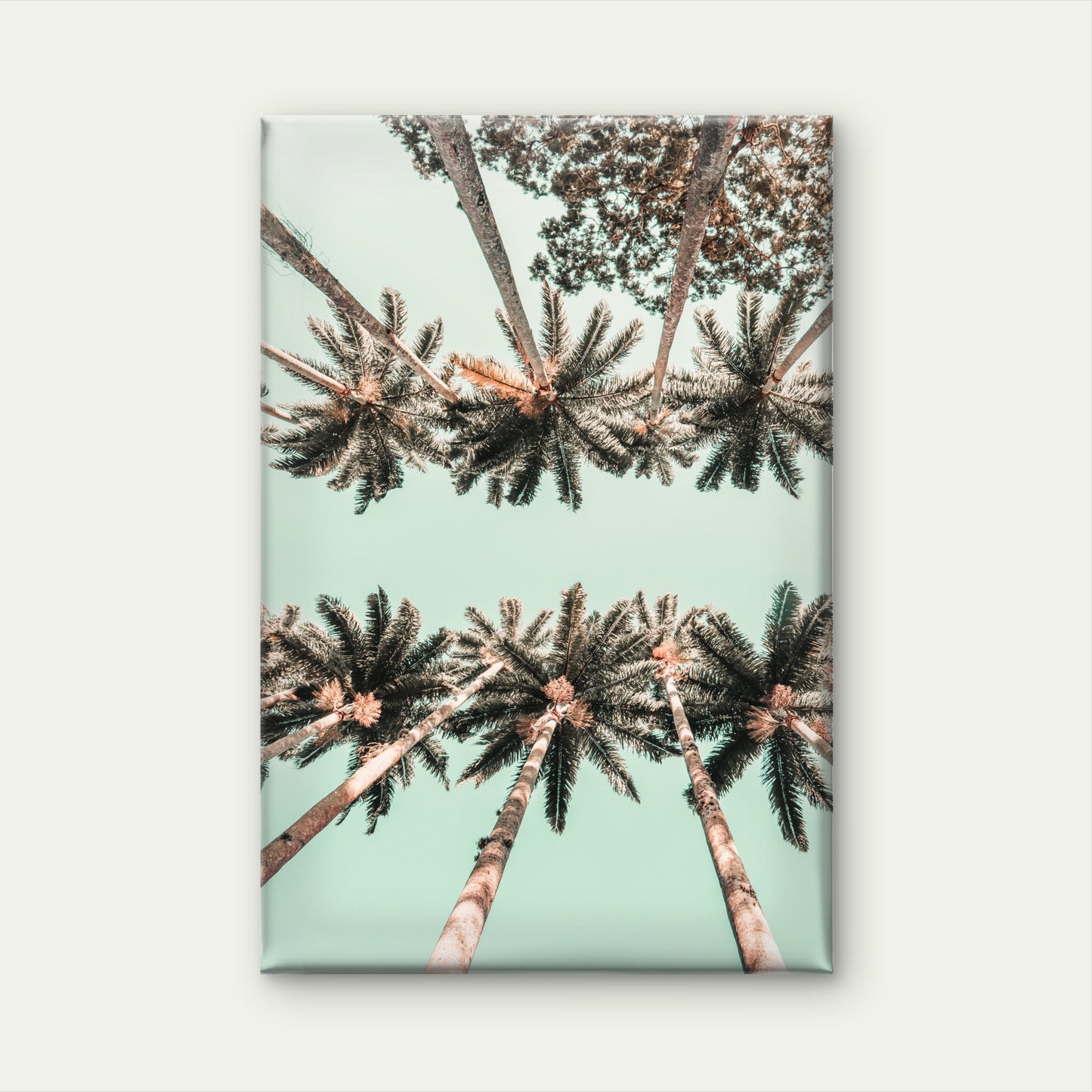Vertical low angle shot of palm trees in Rio Di Janeiro, Brazil Vintage Neutral Wall Art Canvas Print 100% Australian Made