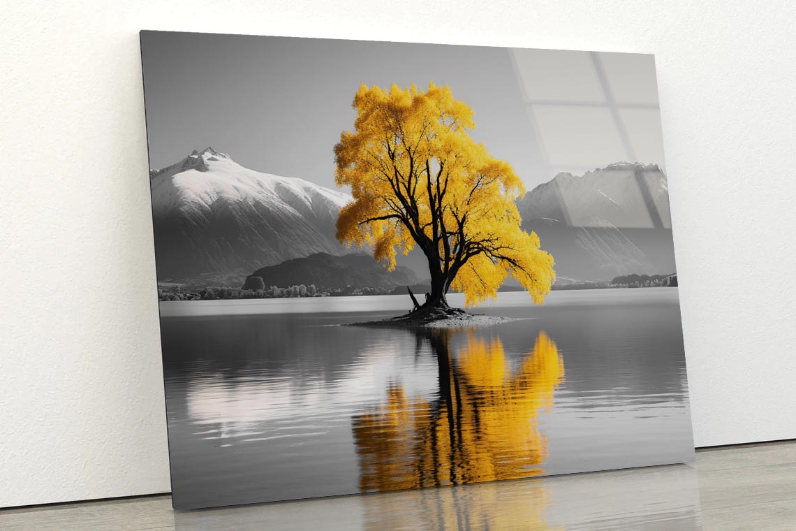 Wanaka Tree In Lake Acrylic Glass Print Tempered Glass Wall Art 100% Made in Australia Ready to Hang