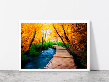 Wooden Path Trail For Nature Glass Framed Wall Art, Ready to Hang Quality Print Without White Border White